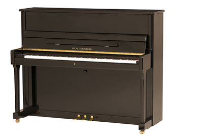 Features of Wilh Steinberg pianos