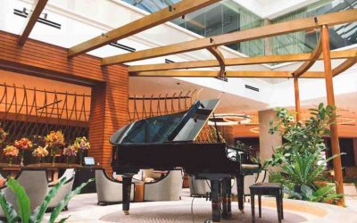 Best Grotrian Steinweg pianos