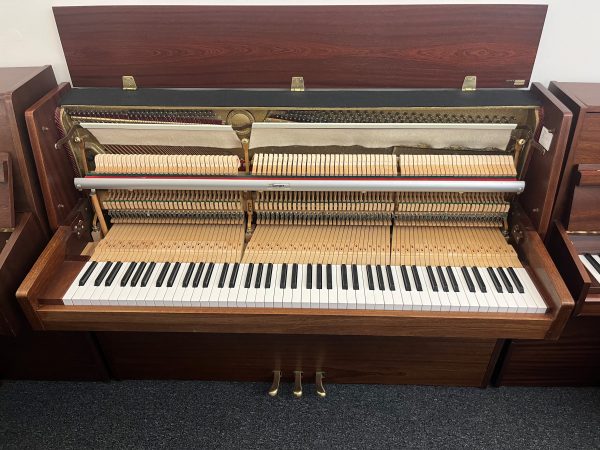 Rippen Cantabile - Image 2