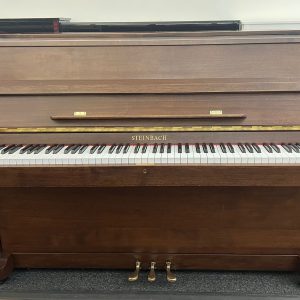 Steinbach 108