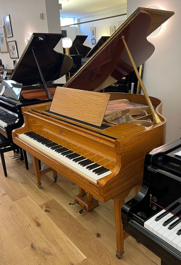 Swiss Bechstein - Image 2