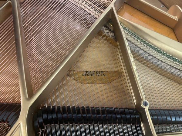 Swiss Bechstein - Image 3