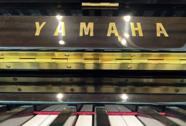 Yamaha DU1 Enspire - Image 2