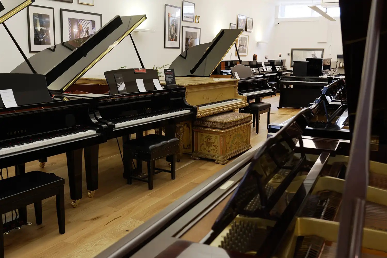 showroom5