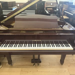 Yamaha G1