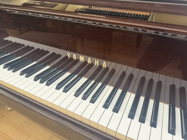 Yamaha G1 - Image 3