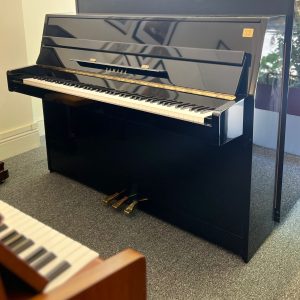 Yamaha C109